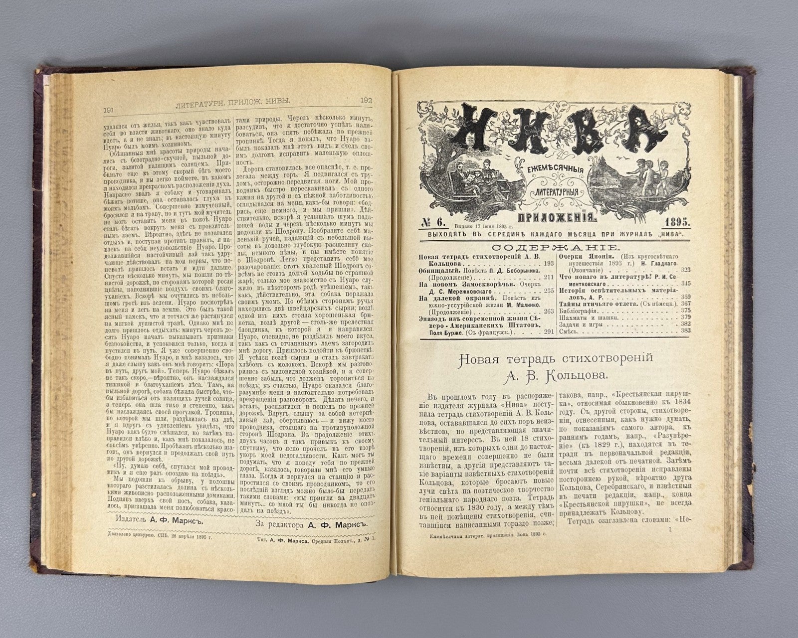 Литературные приложения к журналу Нива за 1895 Niva Magazine Literary Supplement