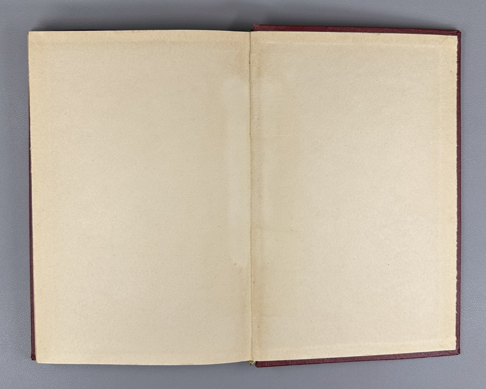 Signed. Ломтадзе Гинухский диалект дидойского языка 1963 Lomtadze Ginukh Dialect