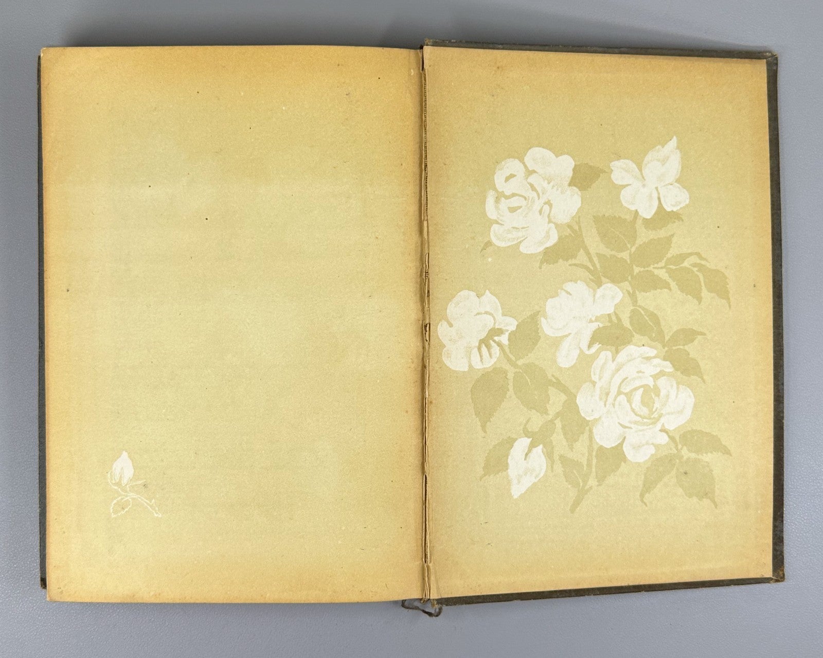 How We Saved the Chelyuskinites Vol.III 1934 Как мы спасали челюскинцев т.3 Rare
