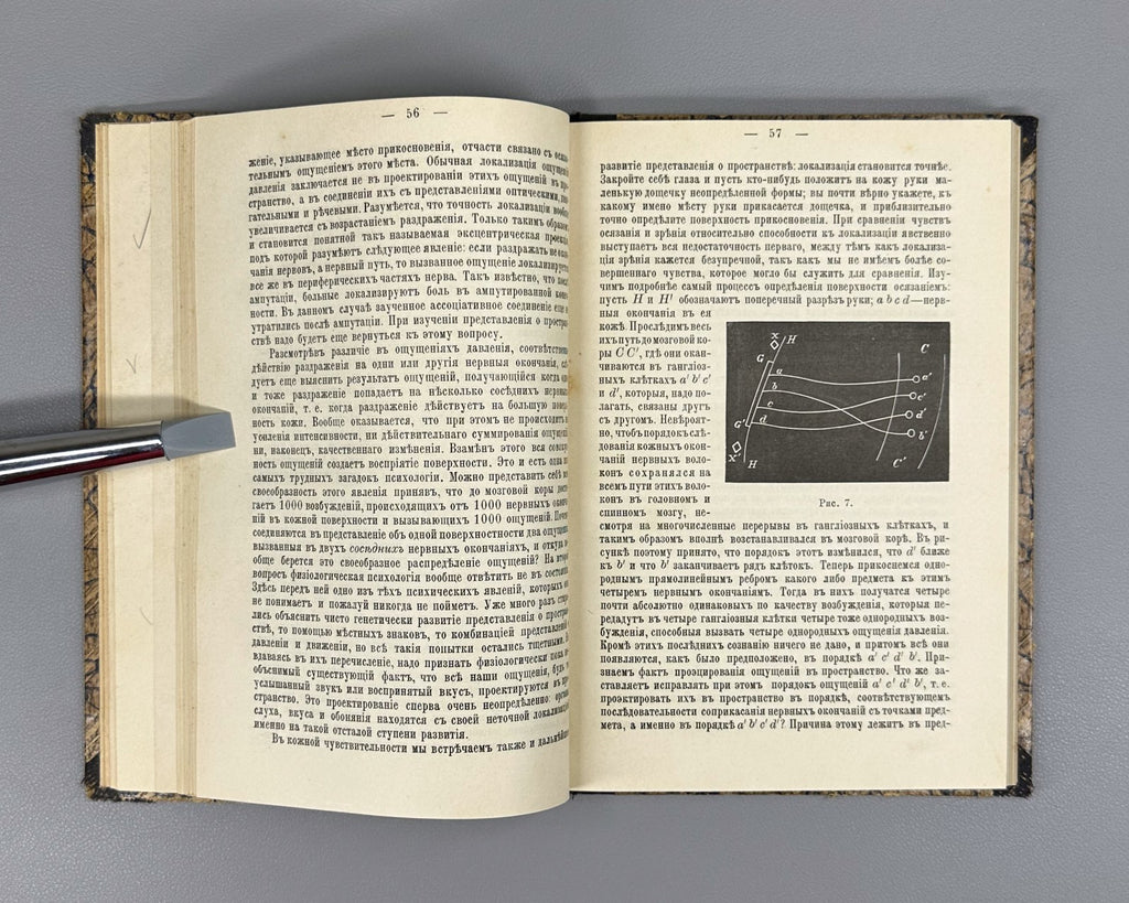 1st ed Rus Ziehen Physiological Psychology 1893 Циген Физиологическая психология