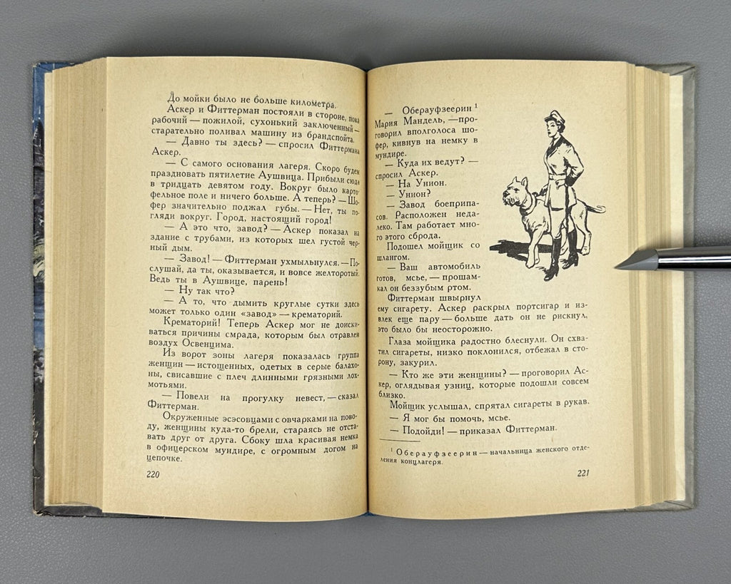 Nasibov Cache on the Elbe Adventures 1960 Насибов Тайник на Эльбе Приключения ФП