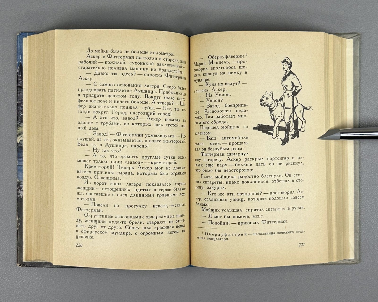 Nasibov Cache on the Elbe Adventures 1960 Насибов Тайник на Эльбе Приключения ФП