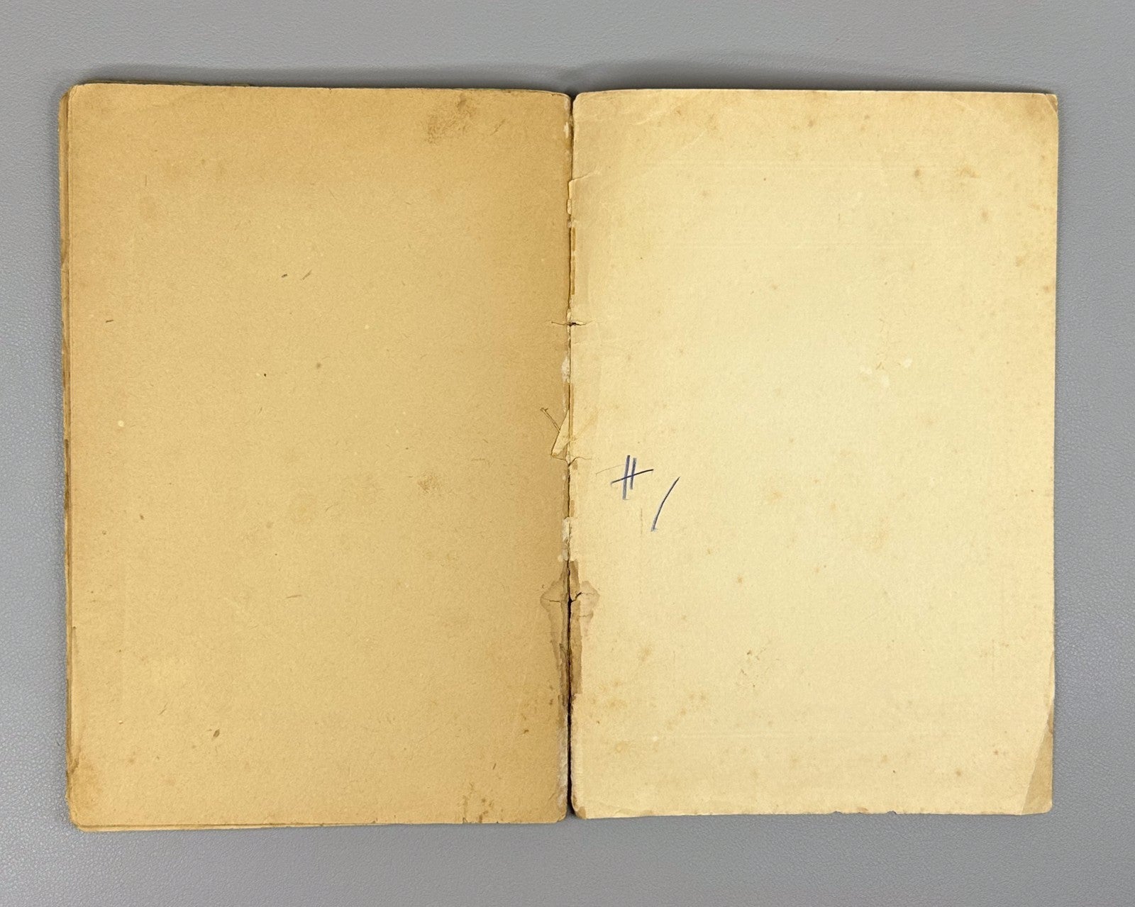 1st ed. Tartakower Debut of the Future Chess 1925 Тартаковер Дебют будущего Rare