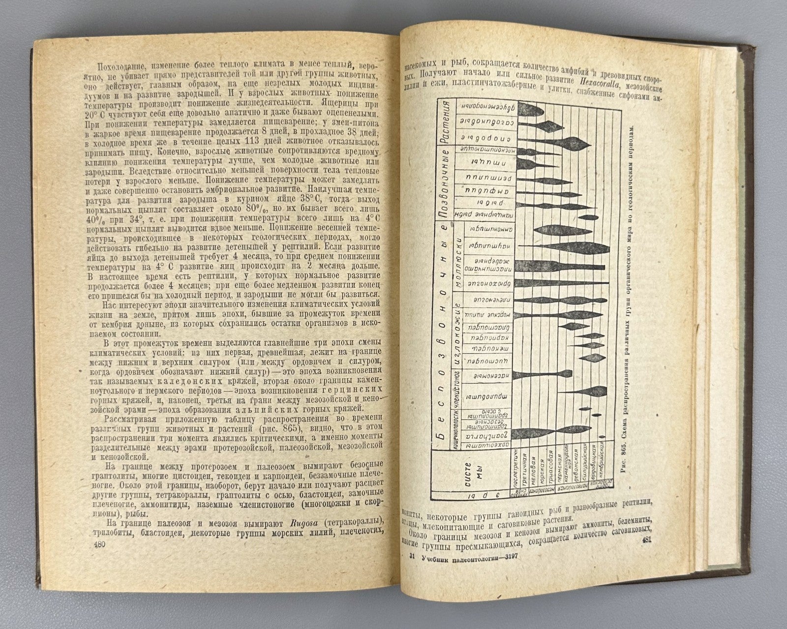 Яковлев Учебник палеонтологии 1937 Yakovlev Paleontology Textbook Soviet Russian