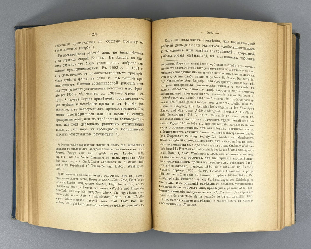 Essays on Political Economy Zheleznov 1912 Очерки политической экономии Железнов