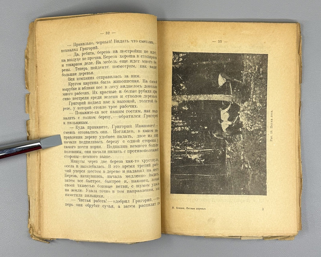 Our forest trees Russian textbook 1925 Князев Наши лесные деревья Естествознание