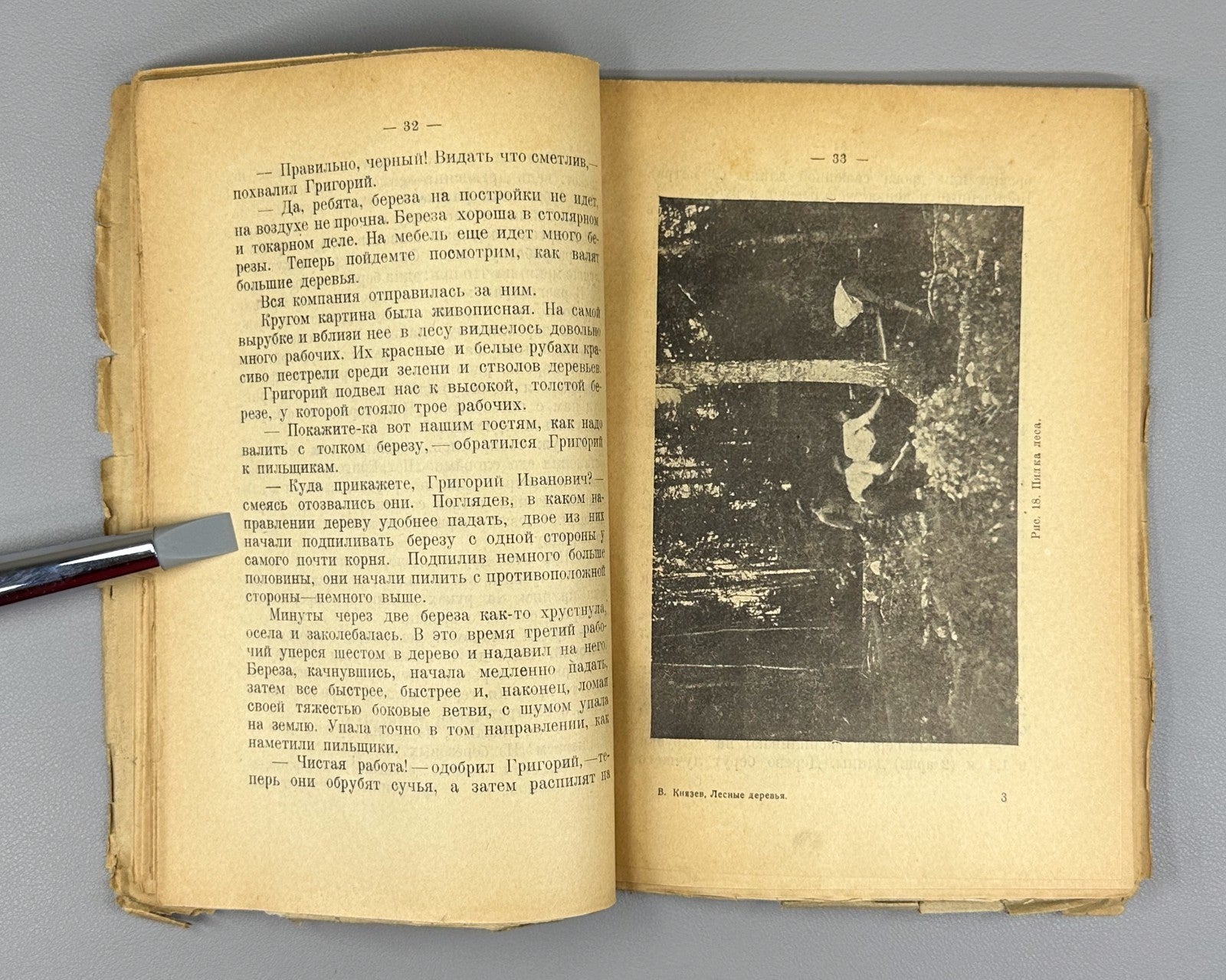 Our forest trees Russian textbook 1925 Князев Наши лесные деревья Естествознание