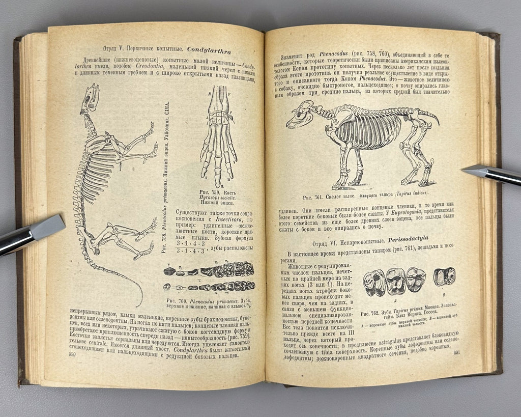 Яковлев Учебник палеонтологии 1937 Yakovlev Paleontology Textbook Soviet Russian