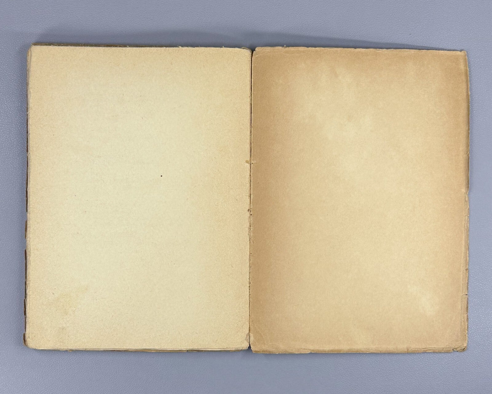 Erberg The Purpose of Creativity 1919 Эрберг Цель творчества Символизм Алконост