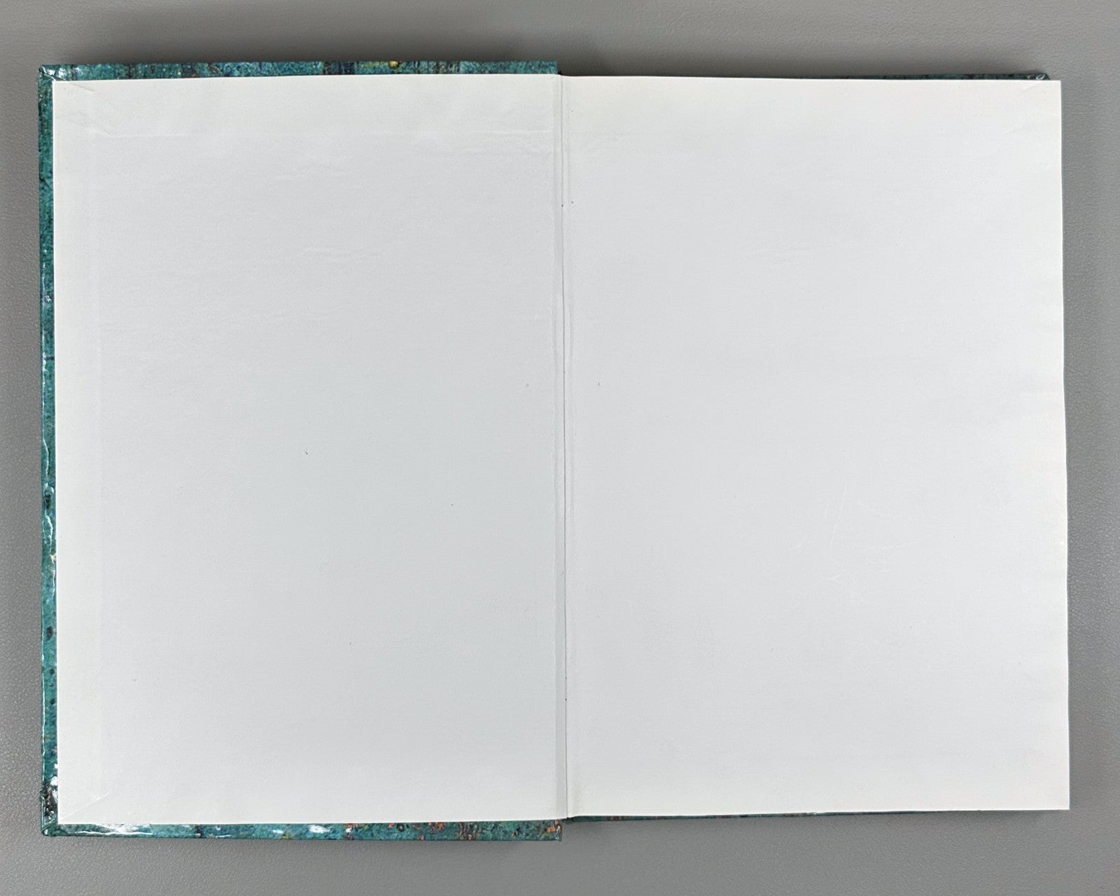 Стуруа Мой Пушкин 2007 Sturua My Pushkin Documents and Materials Tbilisi