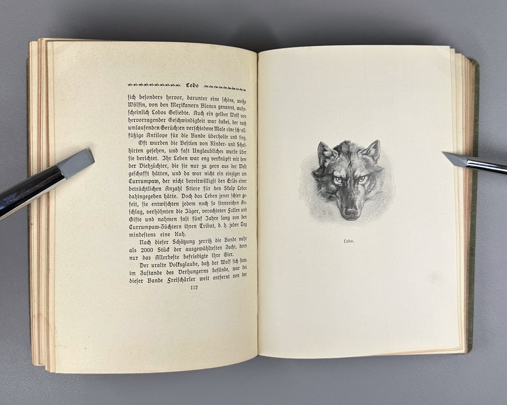 Ernest Thompson Seton Bingo und andere Tiergeschichten 1908 German Ninth edition