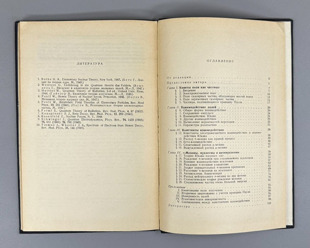 Ферми Элементарные частицы 1953 Enrico Fermi Elementary Particles lectures