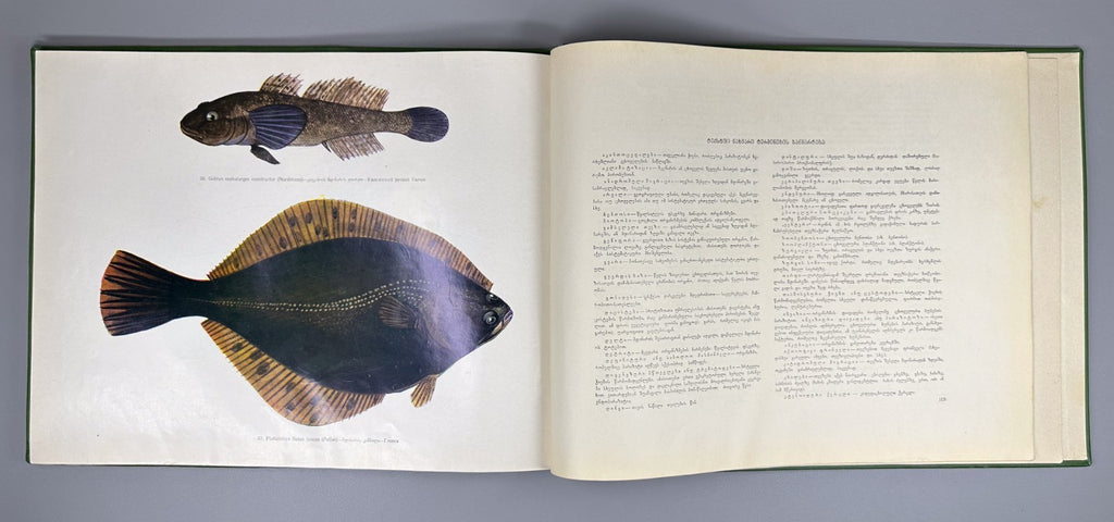 Freshwater Fishes of Georgia Atlas Fishing 1970 Рыбы пресных вод Грузии Rare