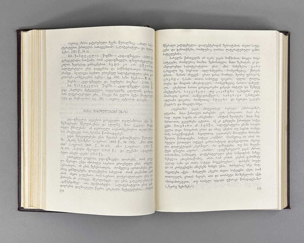 Shota Dzidziguri Literary and Linguistic Essays 1974 Georgian ძიძიგური