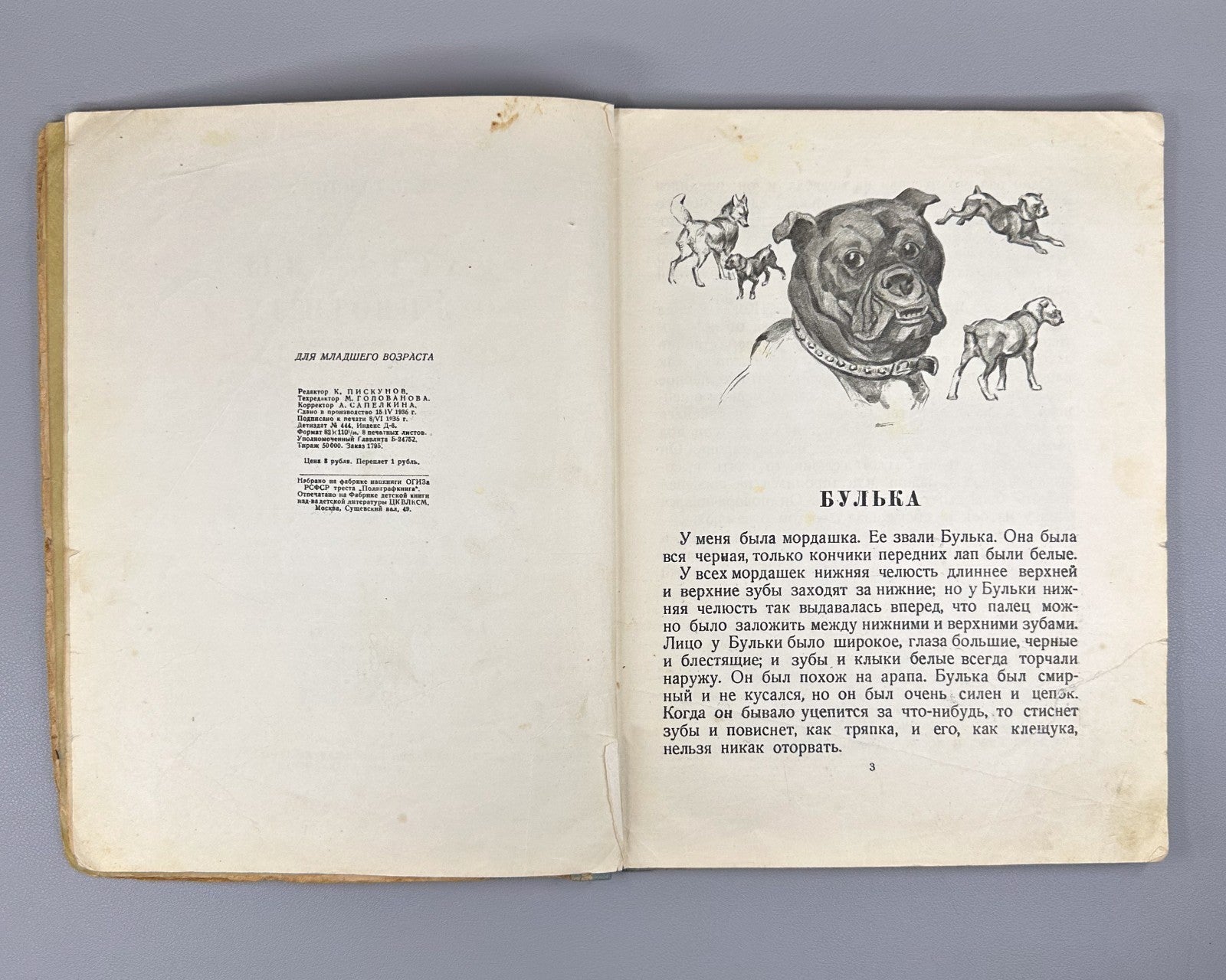 Толстой Рассказы о животных Ватагина 1936 Tolstoy Stories about Animals Vatagin