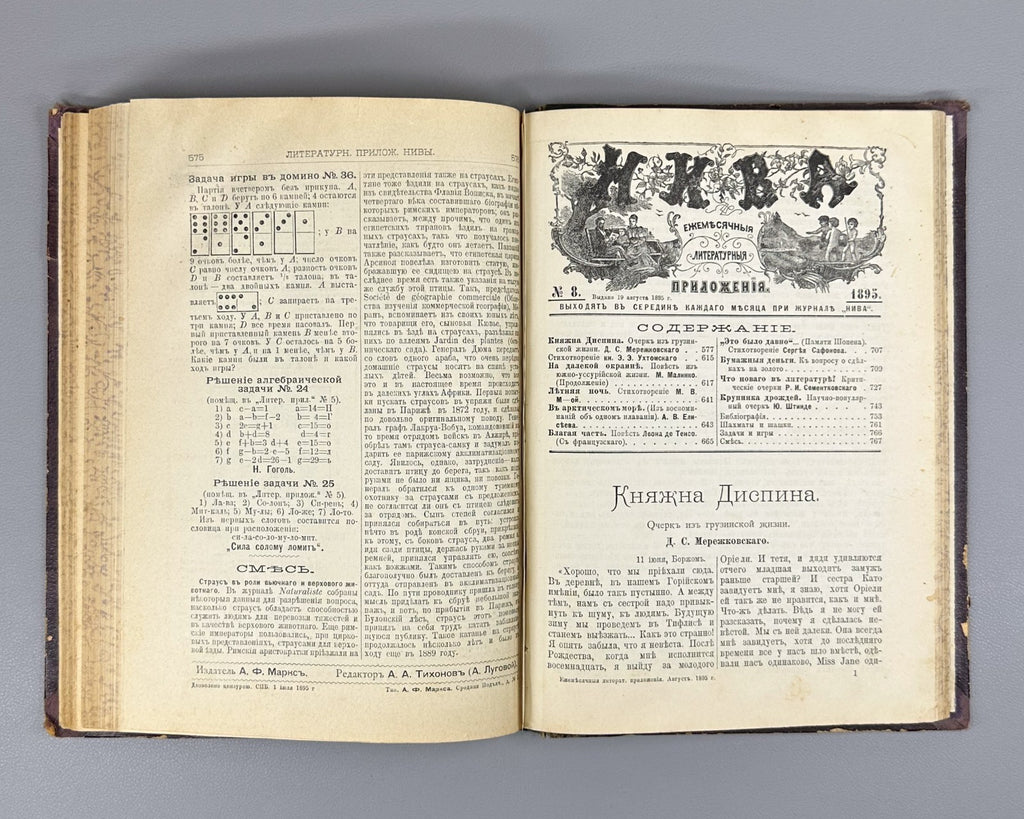 Литературные приложения к журналу Нива за 1895 Niva Magazine Literary Supplement
