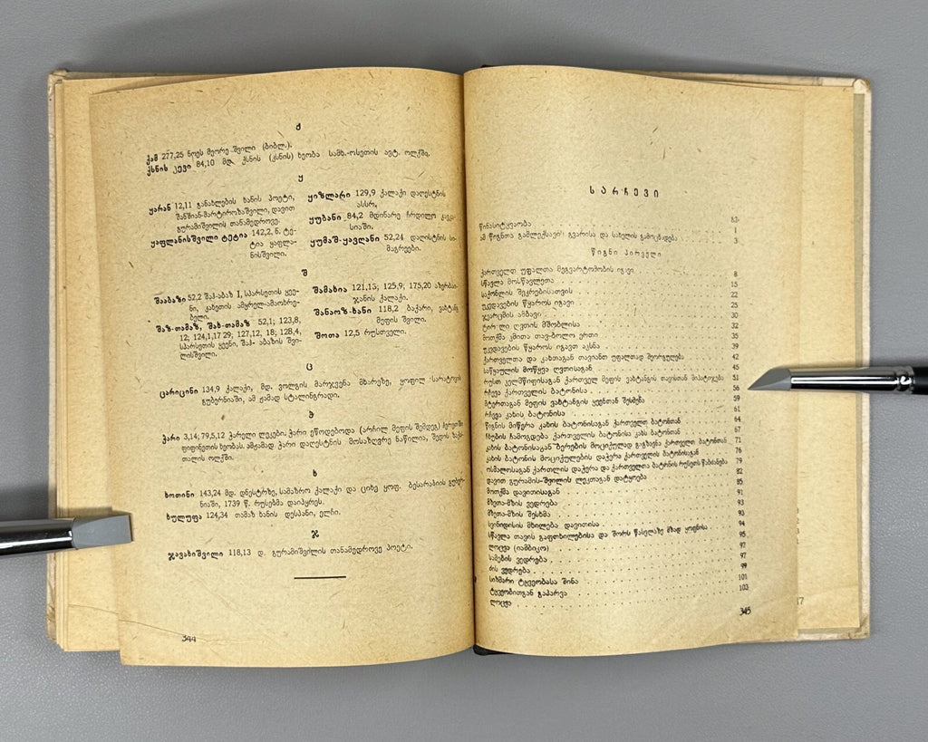 Davitiani David Guramishvili 1931 Georgian literature დავითიანი