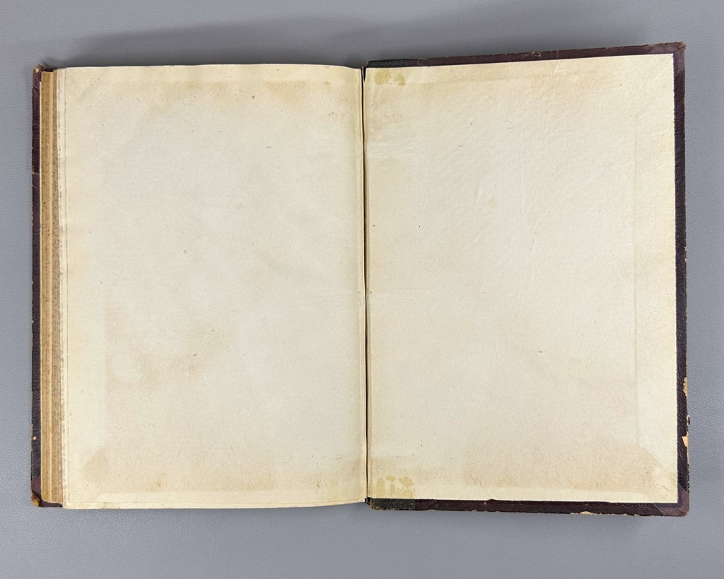 Литературные приложения к журналу Нива за 1895 Niva Magazine Literary Supplement