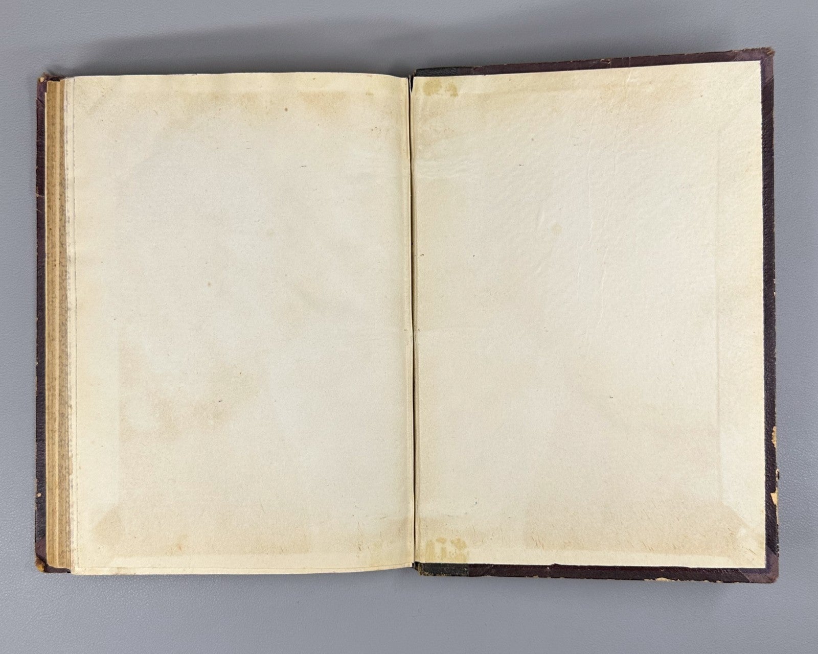 Литературные приложения к журналу Нива за 1895 Niva Magazine Literary Supplement