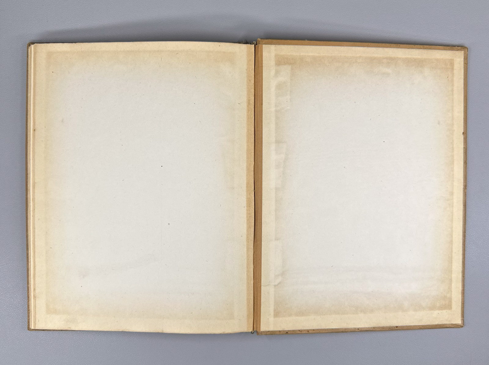 1st ed. in Georgian The Tale of Igor’s Campaign 1938 ამბავი იგორის ლაშქრობისა