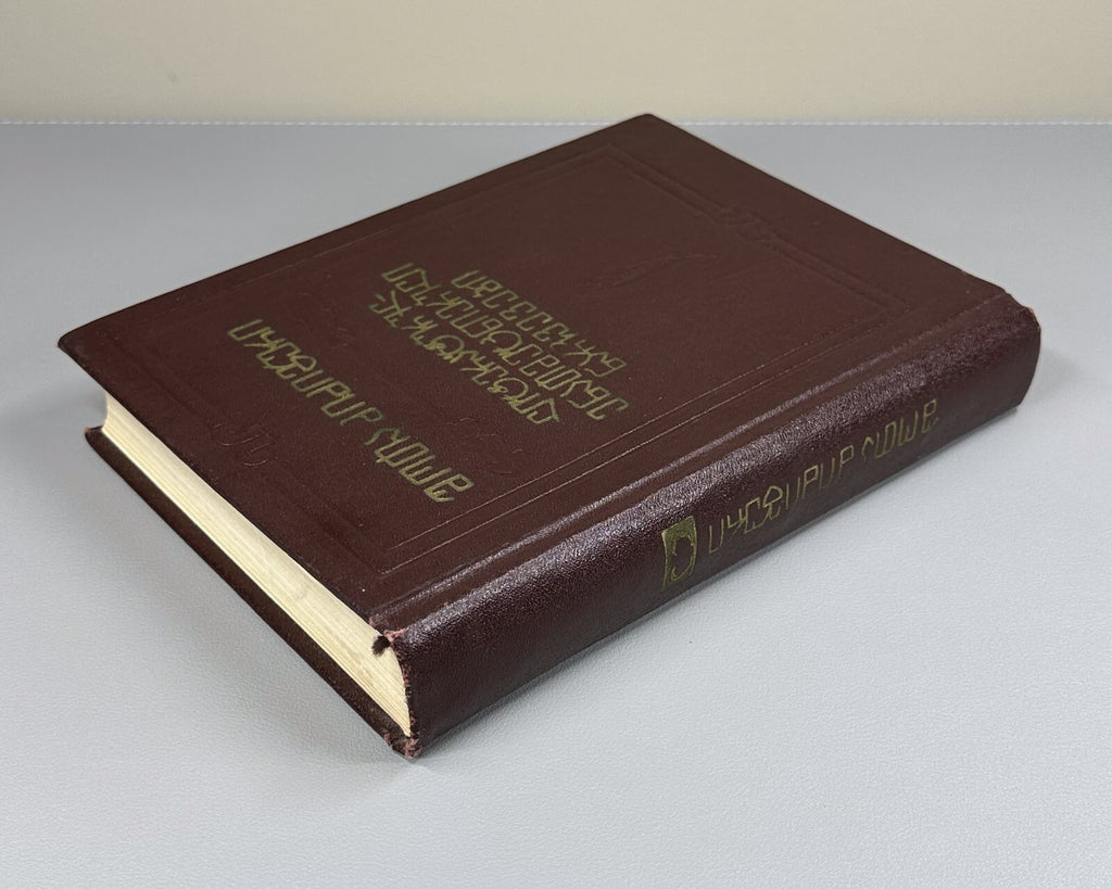 Shota Dzidziguri Literary and Linguistic Essays 1974 Georgian ძიძიგური