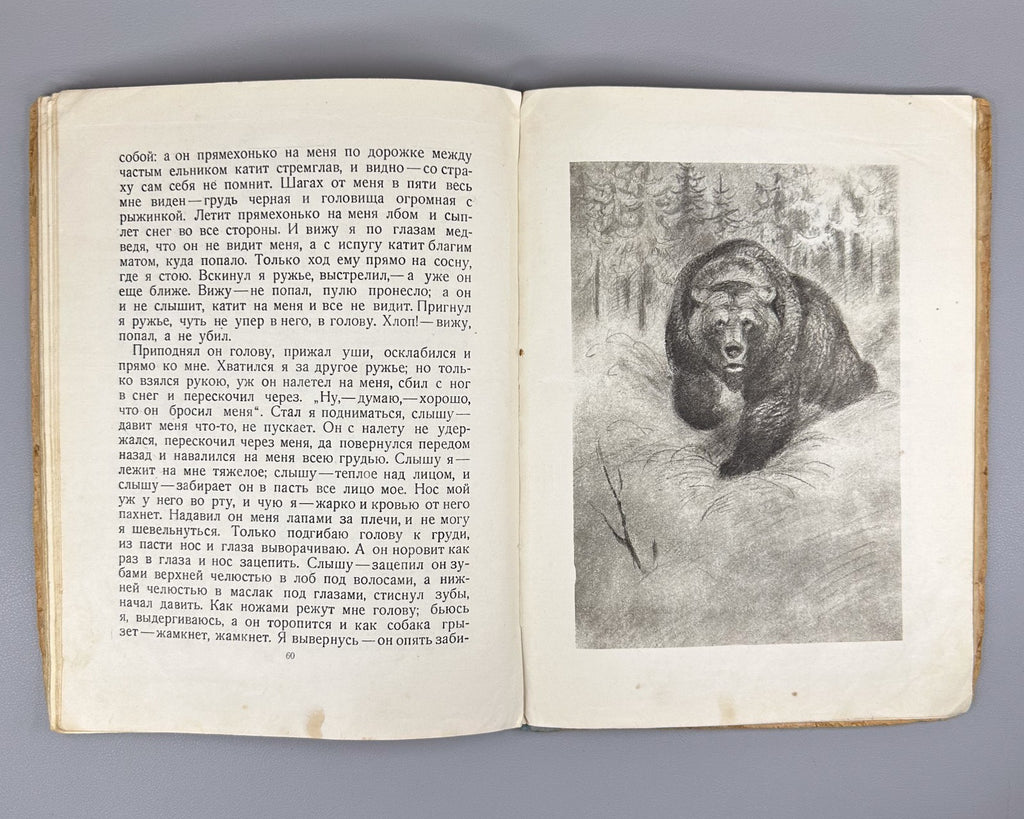 Толстой Рассказы о животных Ватагина 1936 Tolstoy Stories about Animals Vatagin