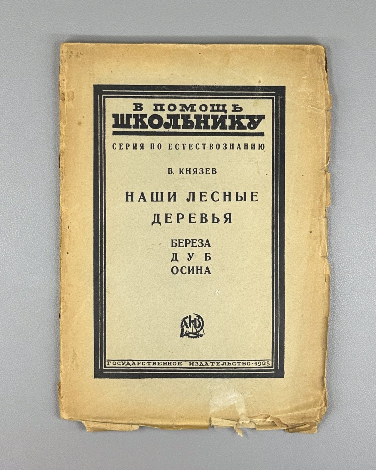 Our forest trees Russian textbook 1925 Князев Наши лесные деревья Естествознание