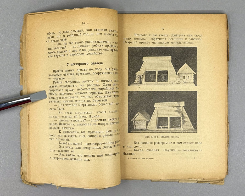 Our forest trees Russian textbook 1925 Князев Наши лесные деревья Естествознание
