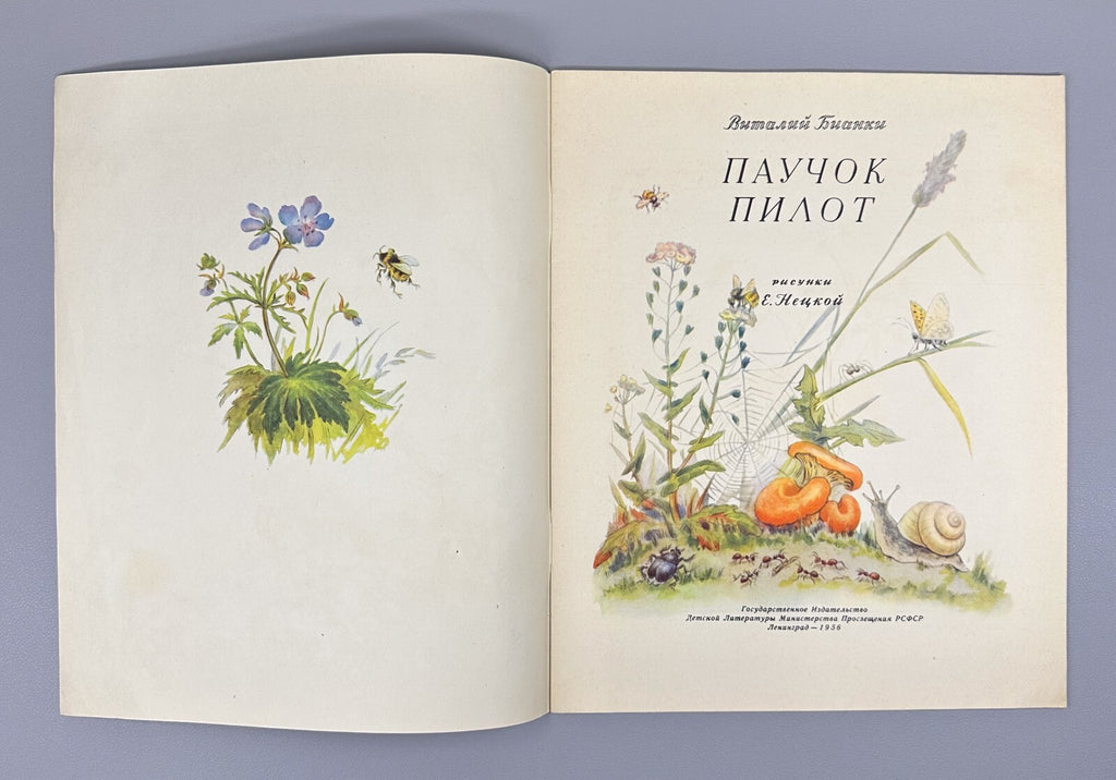 Bianki Spider Pilot Story USSR paper book 1956 Бианки Паучок пилот Рассказ