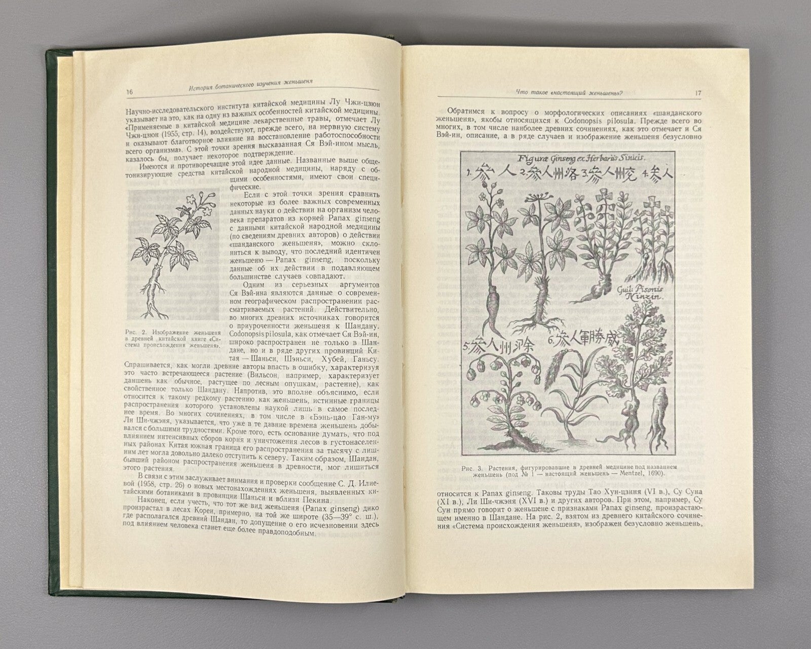 Autograph Grushvitsky Ginseng 1961 Грушвицкий Женьшень Вопросы биологии Rare