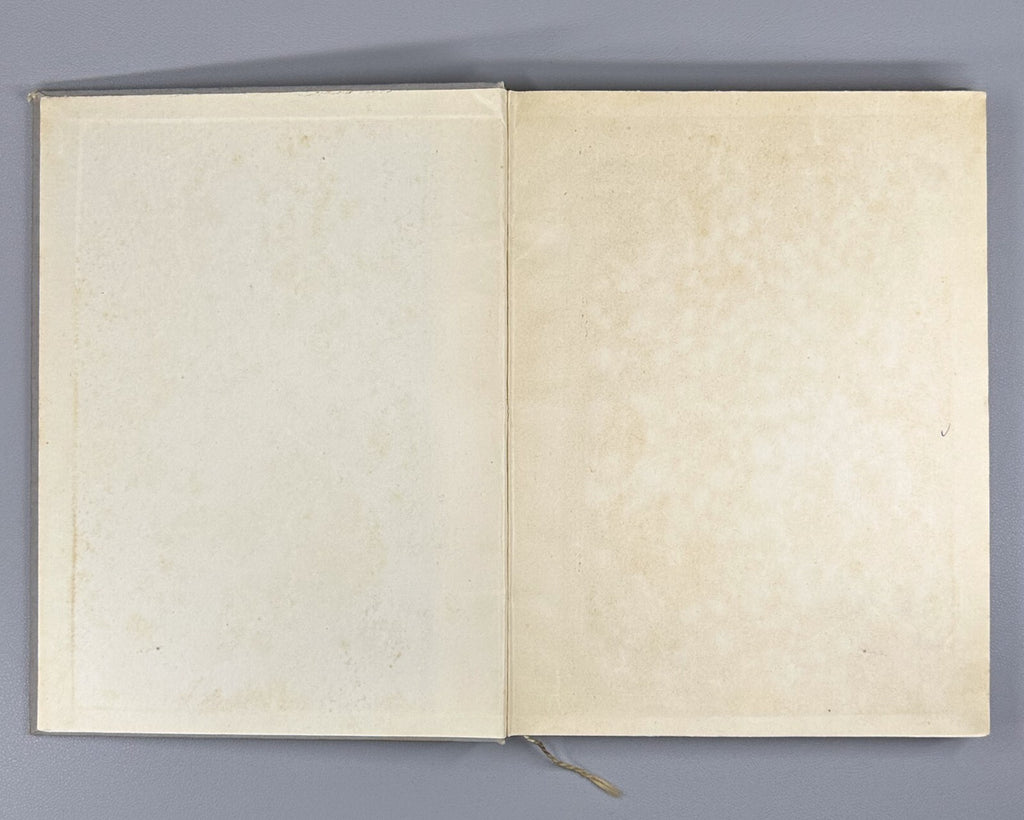 1st ed. Andrei Bely Pepel Ash Russian 1909 Андрей Белый Пепел Rare