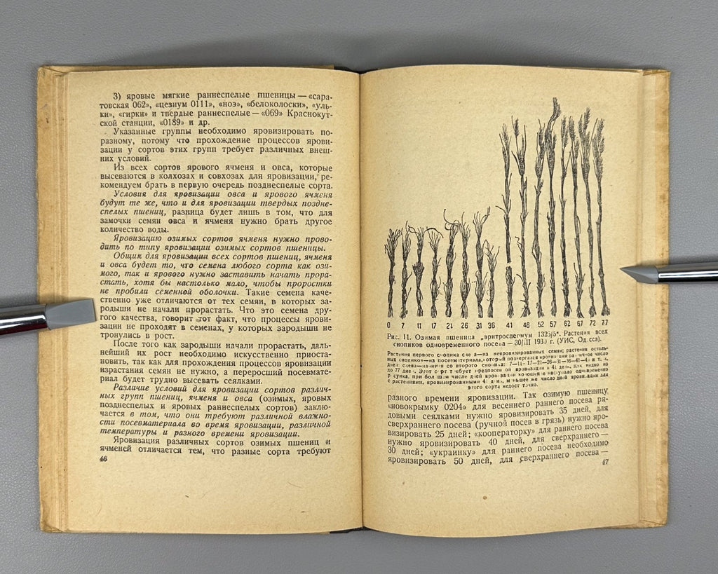 Vernalization Agricultural plants 1935 Яровизация сельскохозяйственных растений