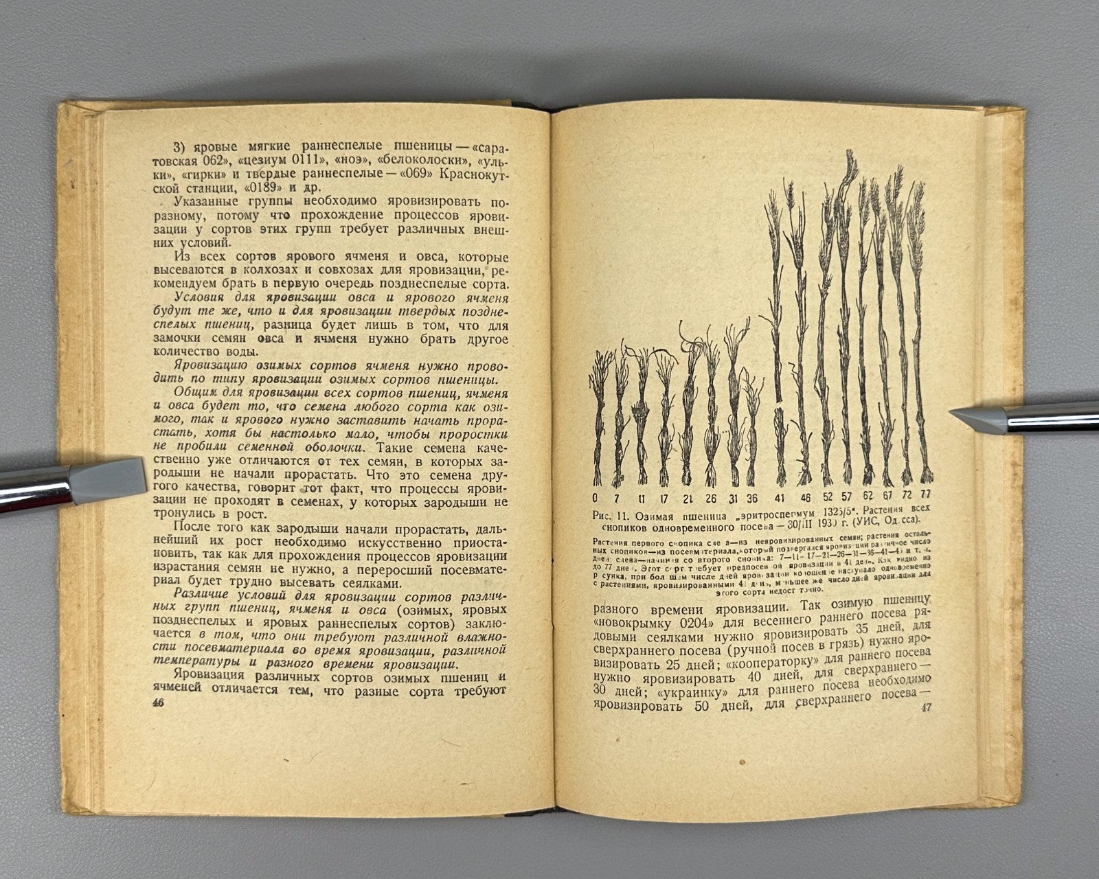 Vernalization Agricultural plants 1935 Яровизация сельскохозяйственных растений