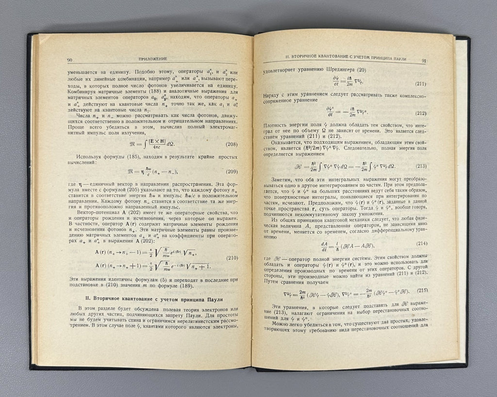 Ферми Элементарные частицы 1953 Enrico Fermi Elementary Particles lectures