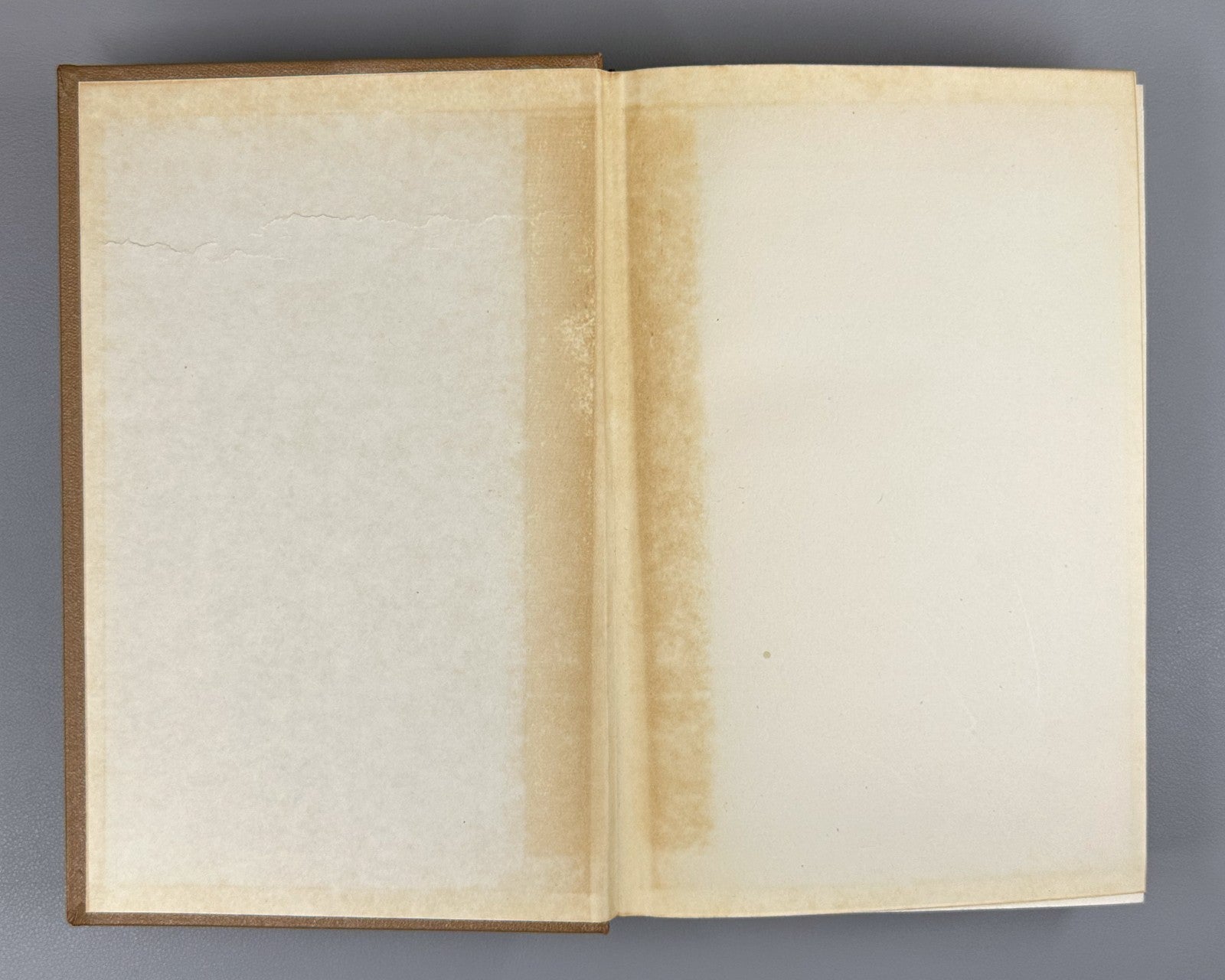 Montesquieu Selected Works 1955 Монтескье Избранные произведения Философия