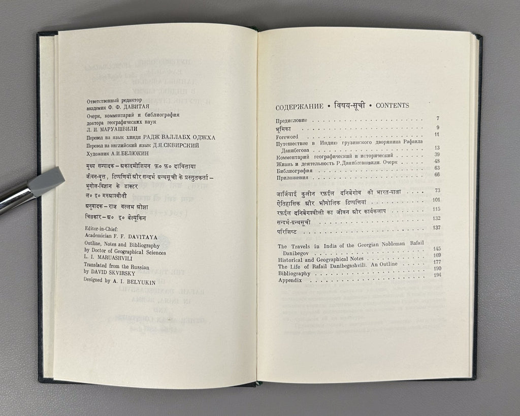 Danibegashvili's Journey to India Hindi 1969 Путешествие Рафаила Данибегашвили