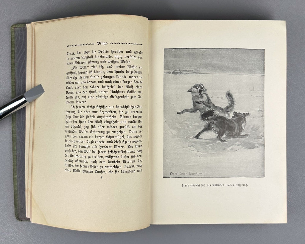 Ernest Thompson Seton Bingo und andere Tiergeschichten 1908 German Ninth edition