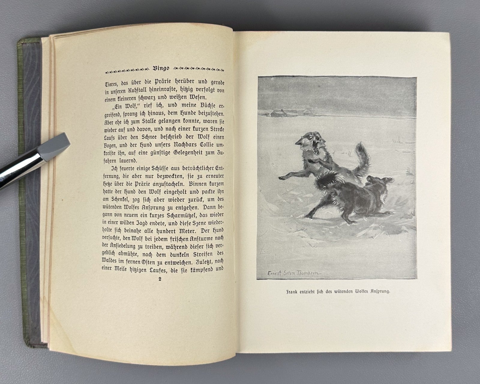 Ernest Thompson Seton Bingo und andere Tiergeschichten 1908 German Ninth edition