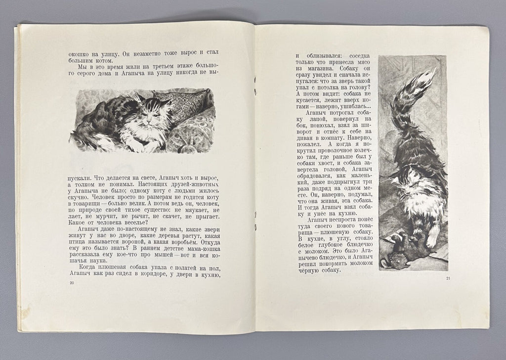 Yemelyanov Boots-dogs Stories about animals 1956 Емельянов Сапоги-собаки