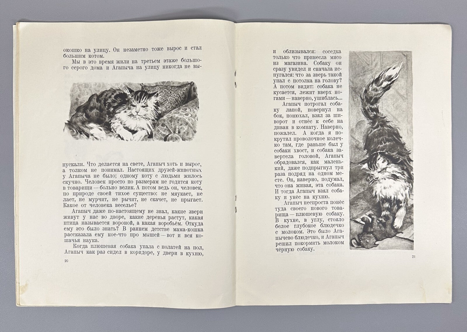 Yemelyanov Boots-dogs Stories about animals 1956 Емельянов Сапоги-собаки
