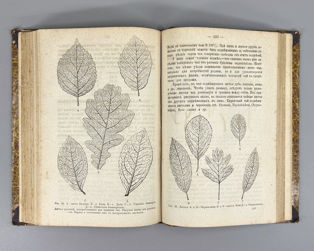 1st ed.  Dobroslavin Hygiene 1884 Доброславин Гигиена Часть 2 Здравоохранение