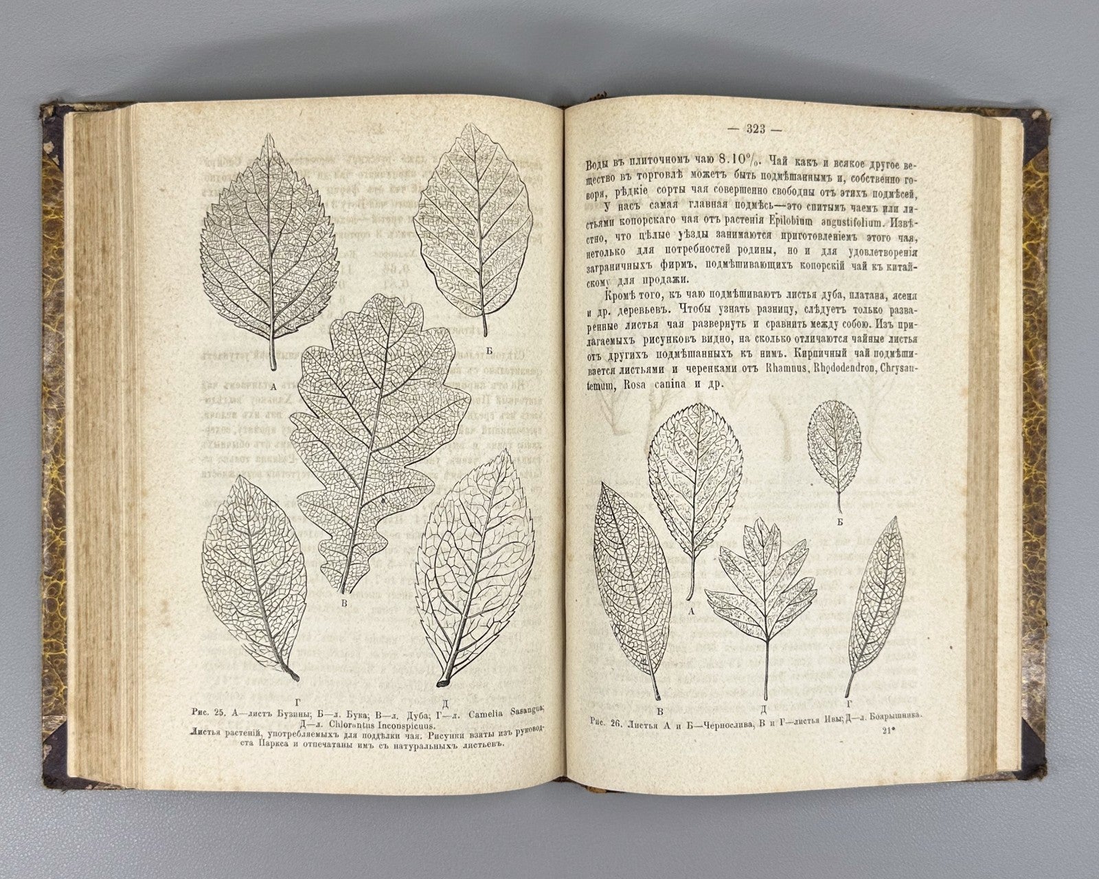 1st ed.  Dobroslavin Hygiene 1884 Доброславин Гигиена Часть 2 Здравоохранение