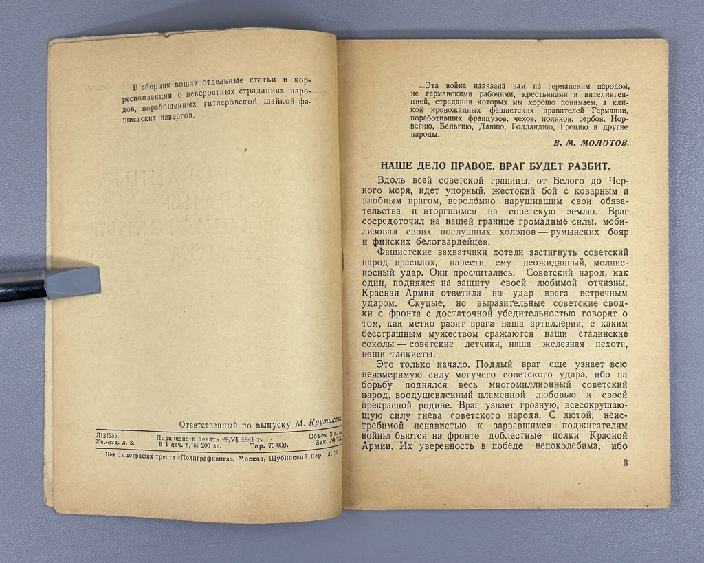 Occupied countries fascist yoke 1941 Оккупированные страны под фашистским ярмом