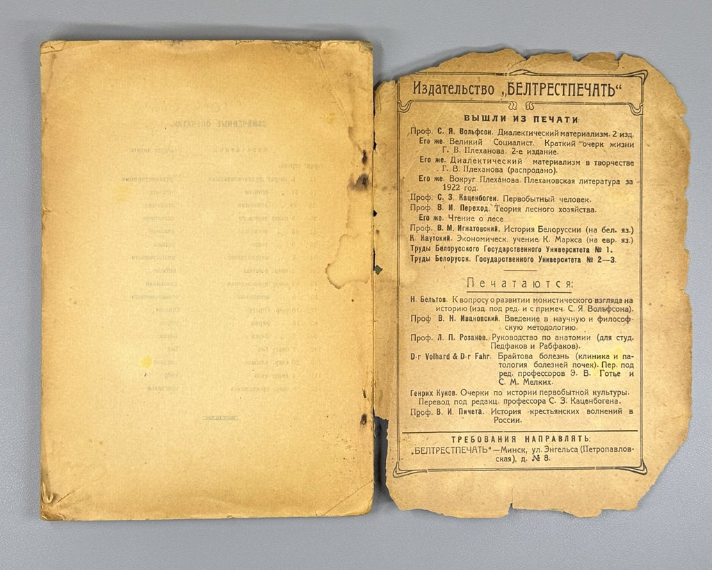 Gruzenberg Psychology of creativity Minsk 1923 Психология творчества Грузенберг