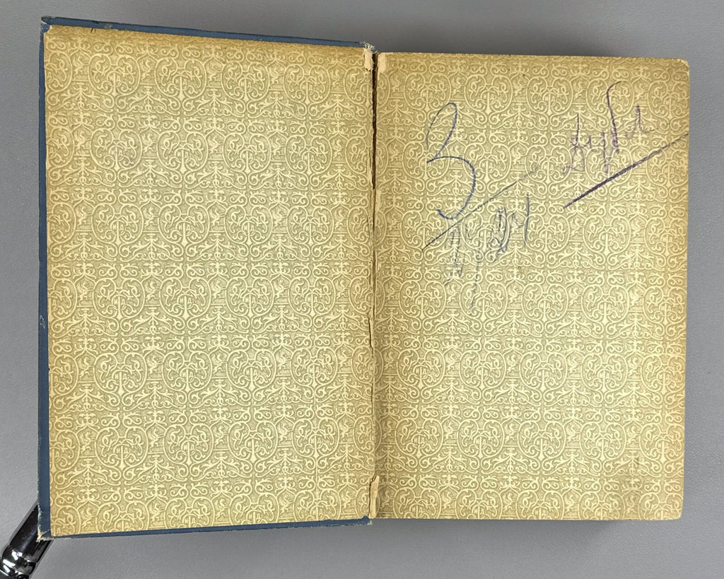 Essays on Political Economy Zheleznov 1912 Очерки политической экономии Железнов