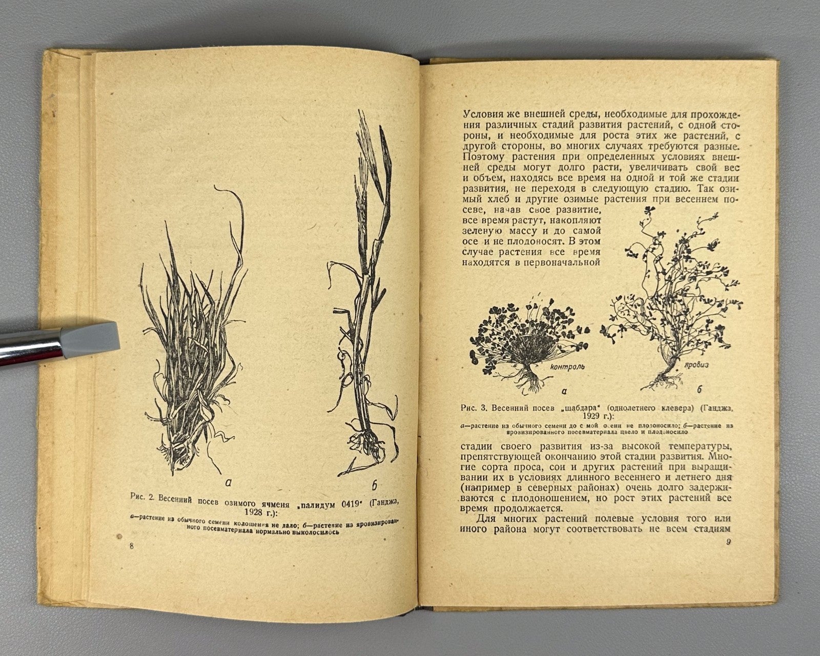 Vernalization Agricultural plants 1935 Яровизация сельскохозяйственных растений