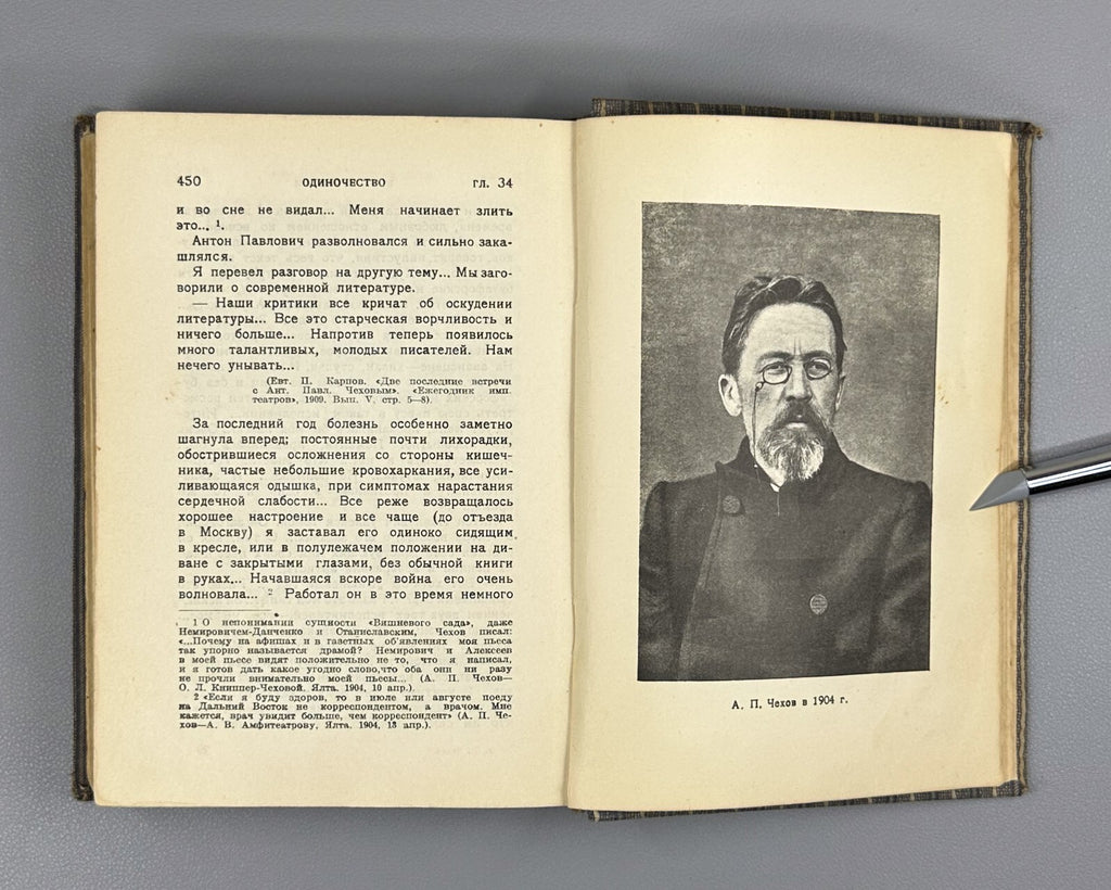 Academia Chekhov Literary life 1928 Чехов Литературный быт и творчество Фейдер