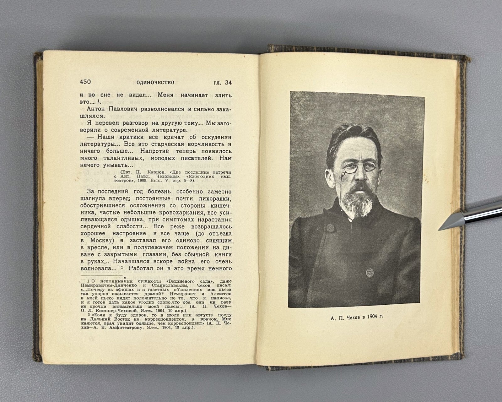 Academia Chekhov Literary life 1928 Чехов Литературный быт и творчество Фейдер