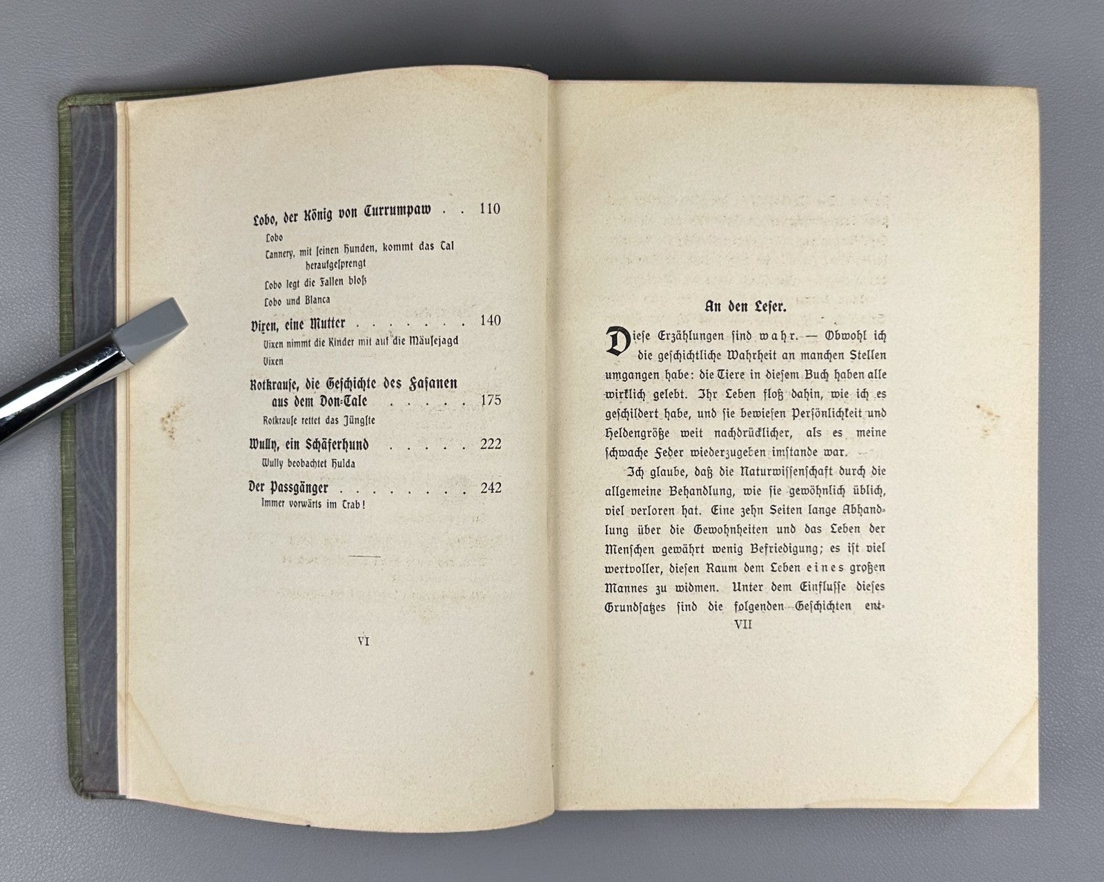 Ernest Thompson Seton Bingo und andere Tiergeschichten 1908 German Ninth edition