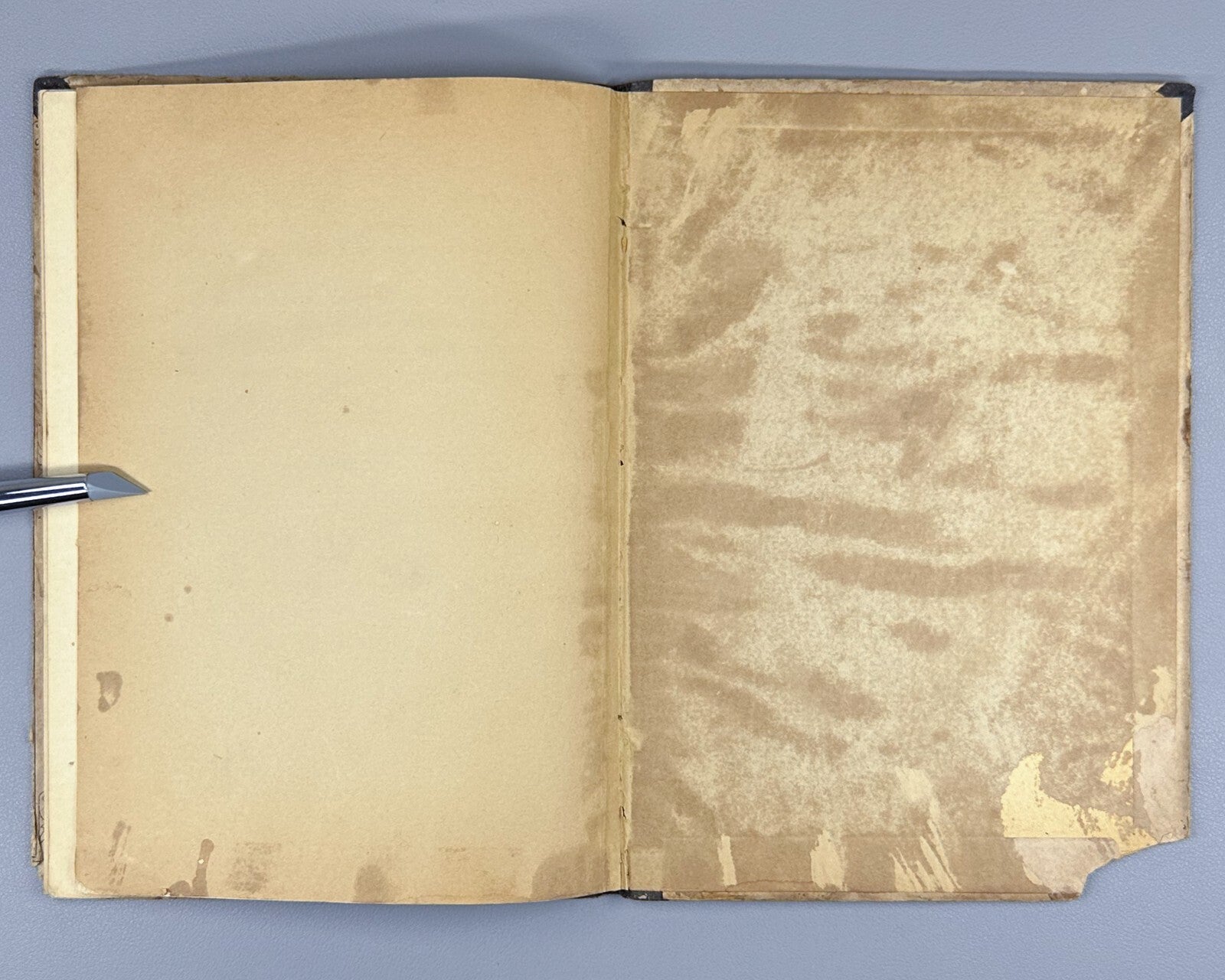 Kolokolnikova Crow  A story for children book 1901 Колокольникова Ворона Rare